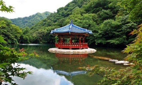 农夫山泉水溶哪个口味好喝-农夫山泉水溶的功效网 - 网站提供农夫山泉c100水溶饮料小常识、农夫山泉水溶c100配料表